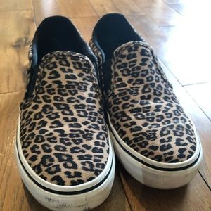 Cheetah Vans